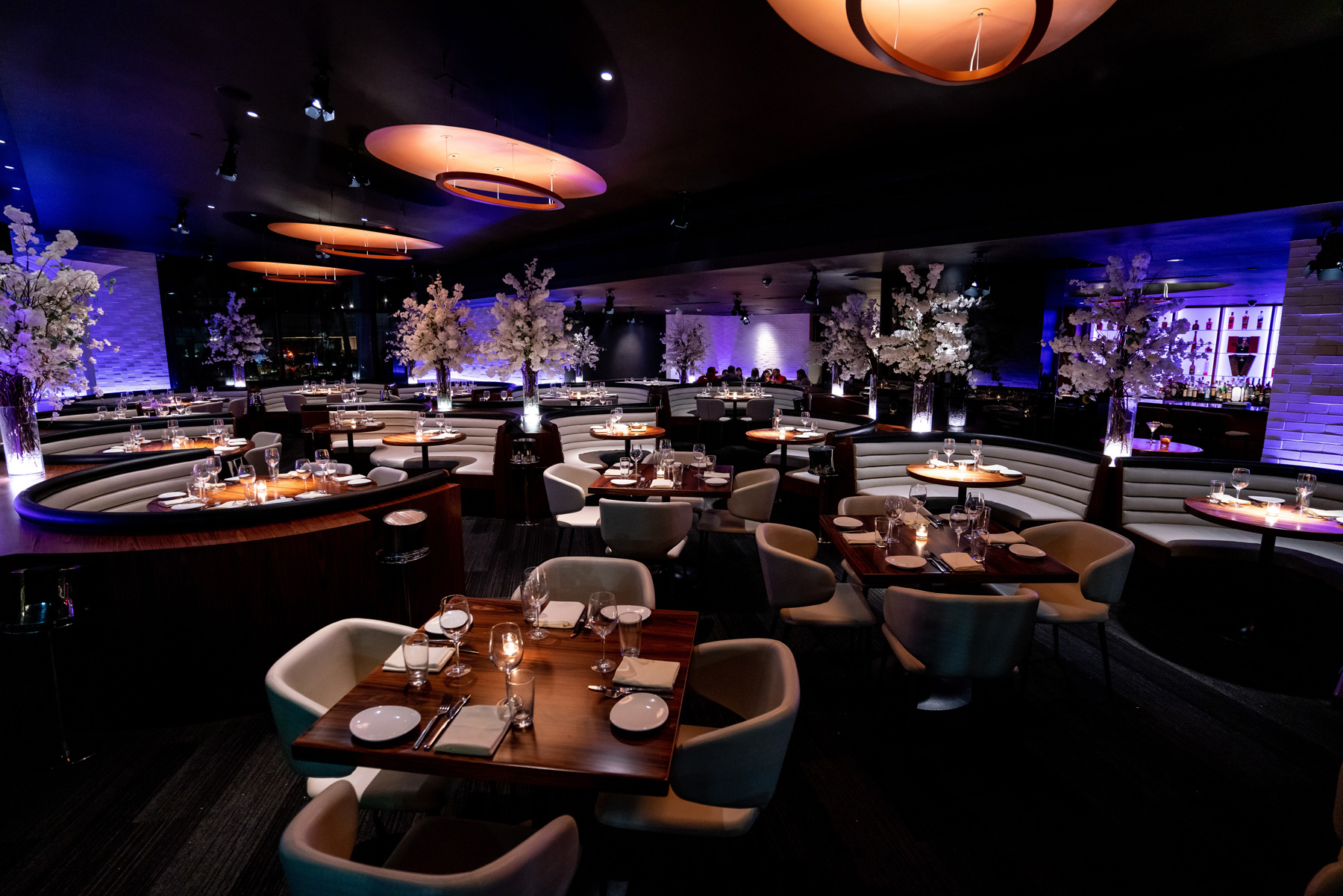 STK Steakhouse